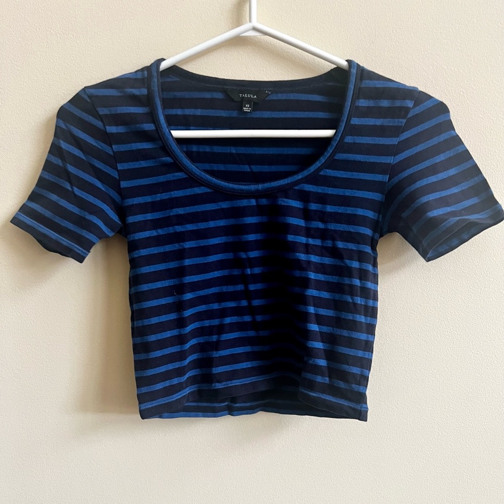 Aritzia Talula Short Sleeve Crop Top